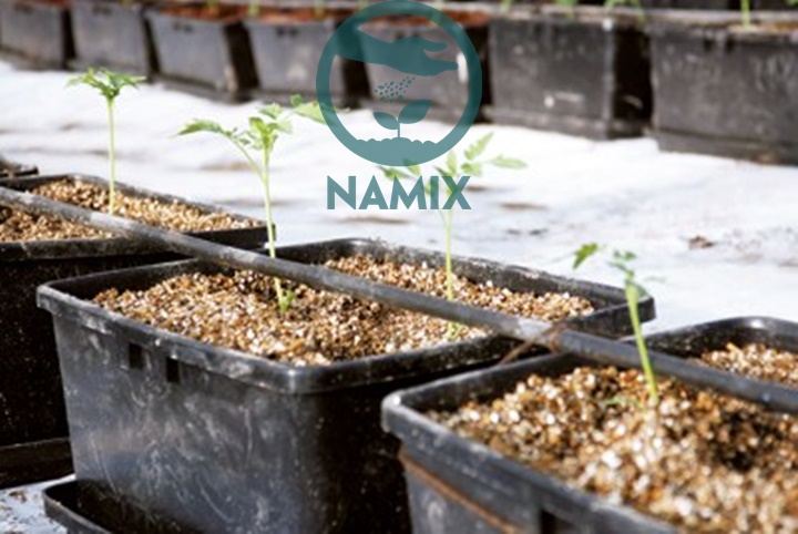 Sử dụng đá Vermiculite làm giá thể thủy canh