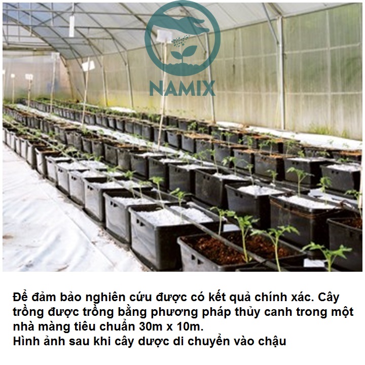 So sánh giá thể trồng rau thủy canh