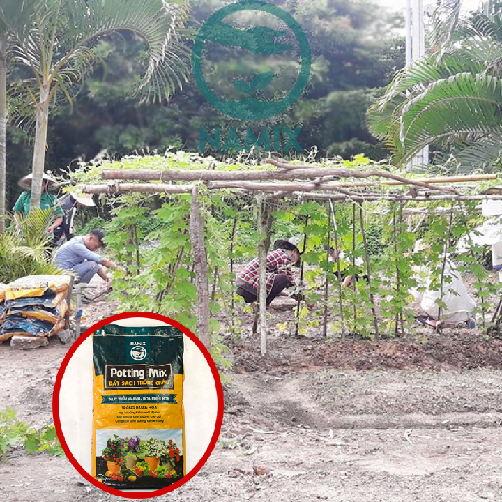 Mua đất sạch trồng rau số lượng lớn nhiều ưu đại tại Namix Mua đất sạch trồng rau số lượng lớn nhiều ưu đại tại Namix