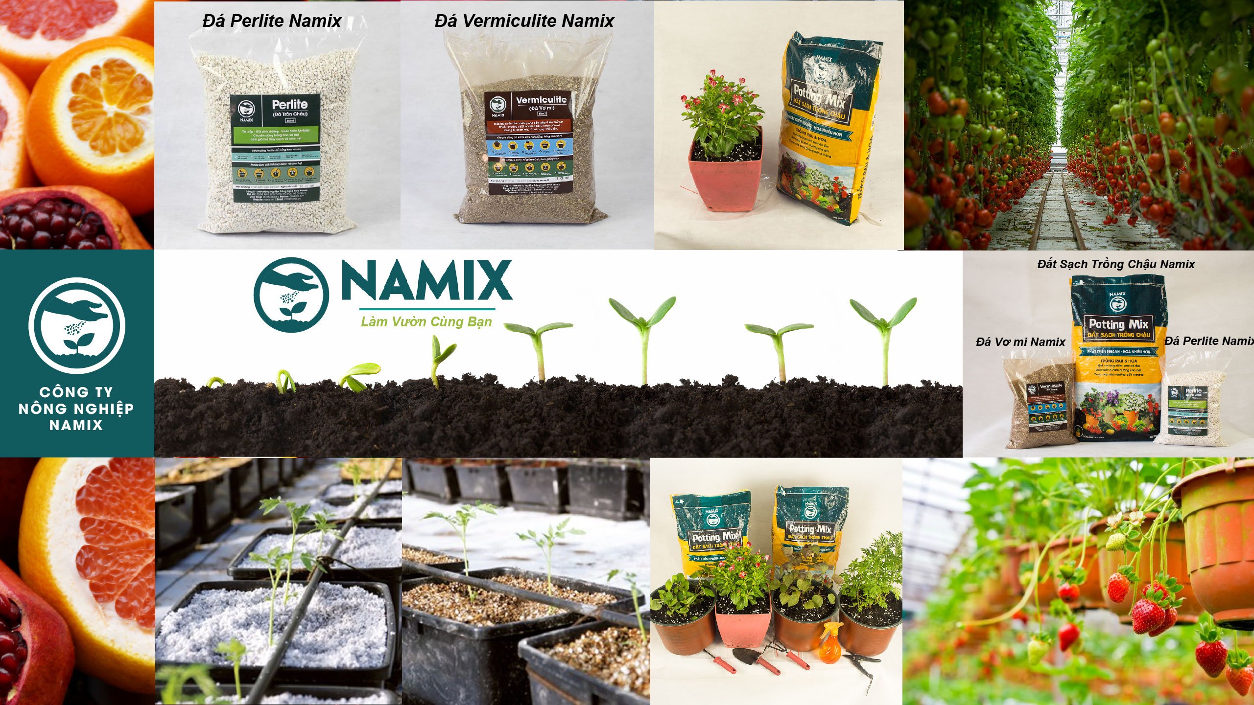 Cung cấp giá thể thủy canh trồng cây tại Namix Cung cấp giá thể thủy canh trồng cây tại Namix
