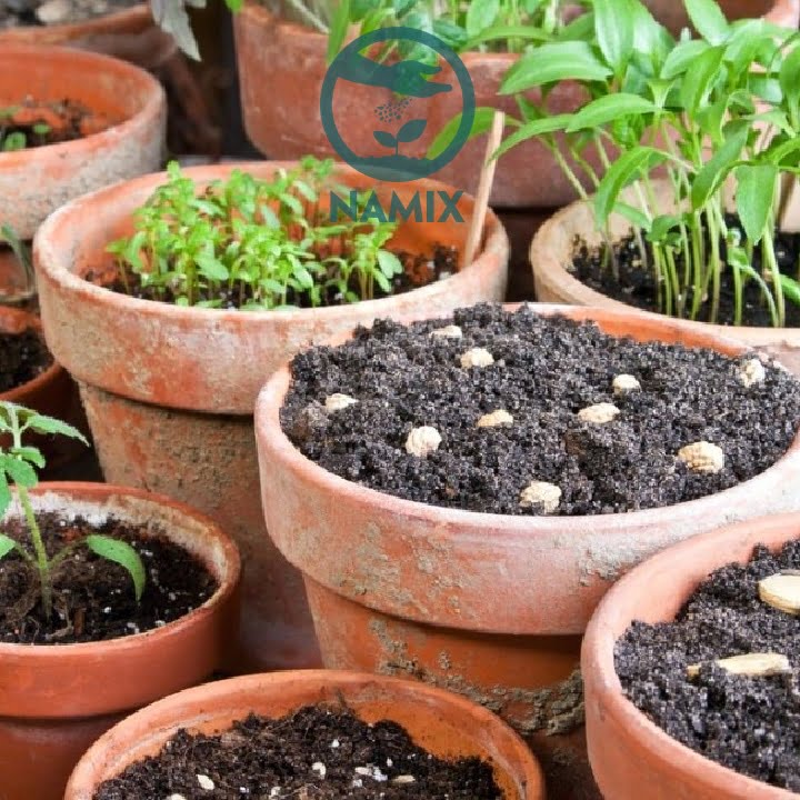 Sử dùng đất sạch trồng chậu chứa nhiều ưu điểm vượt trội Sử dùng đất sạch trồng chậu chứa nhiều ưu điểm vượt trội