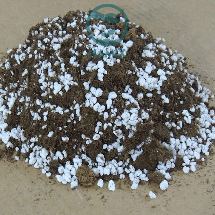 Cách trộn đá Perlite ươm cây tốt Cách trộn đá Perlite ươm cây tốt