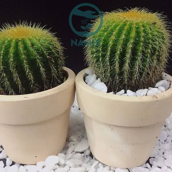 Đá Perlite là một thành phần quan trọng trong việc tự làm đất sạch
