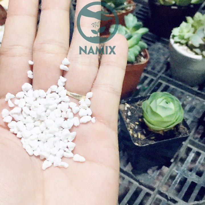 Tác dụng đá Perlite trong nông nghiệp trồng cây mang đến nhiều hiệu quả Tác dụng đá Perlite trong nông nghiệp trồng cây mang đến nhiều hiệu quả