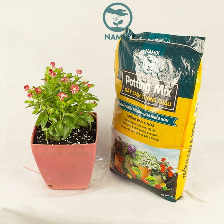 Đất sạch hữu cơ Namix trồng rau màu và hoa hiệu quả