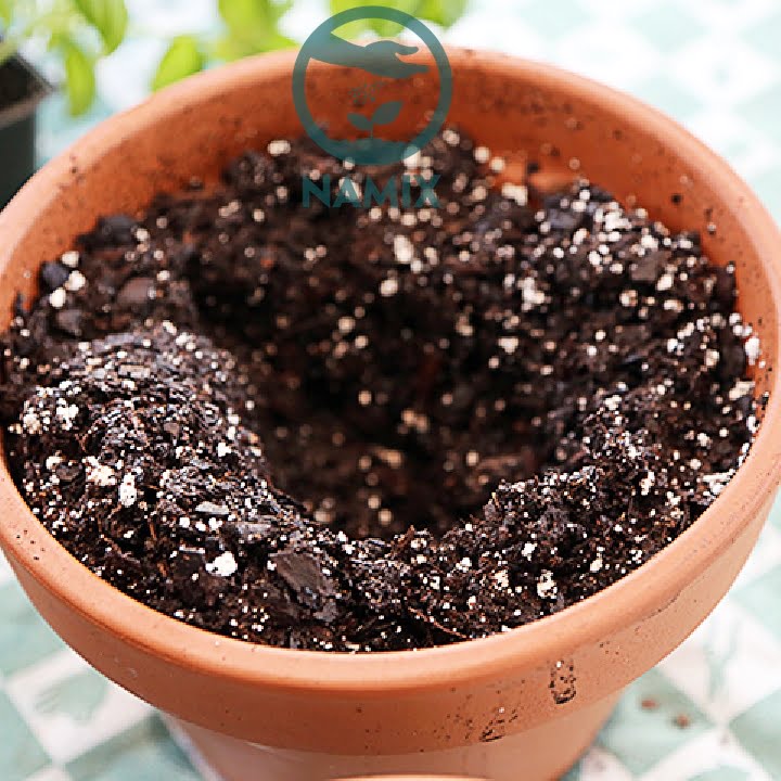 Đất sạch trồng chậu hatienvenicevillas chứa nhiều thành phần hữu ích cho rễ cây dễ phát triển