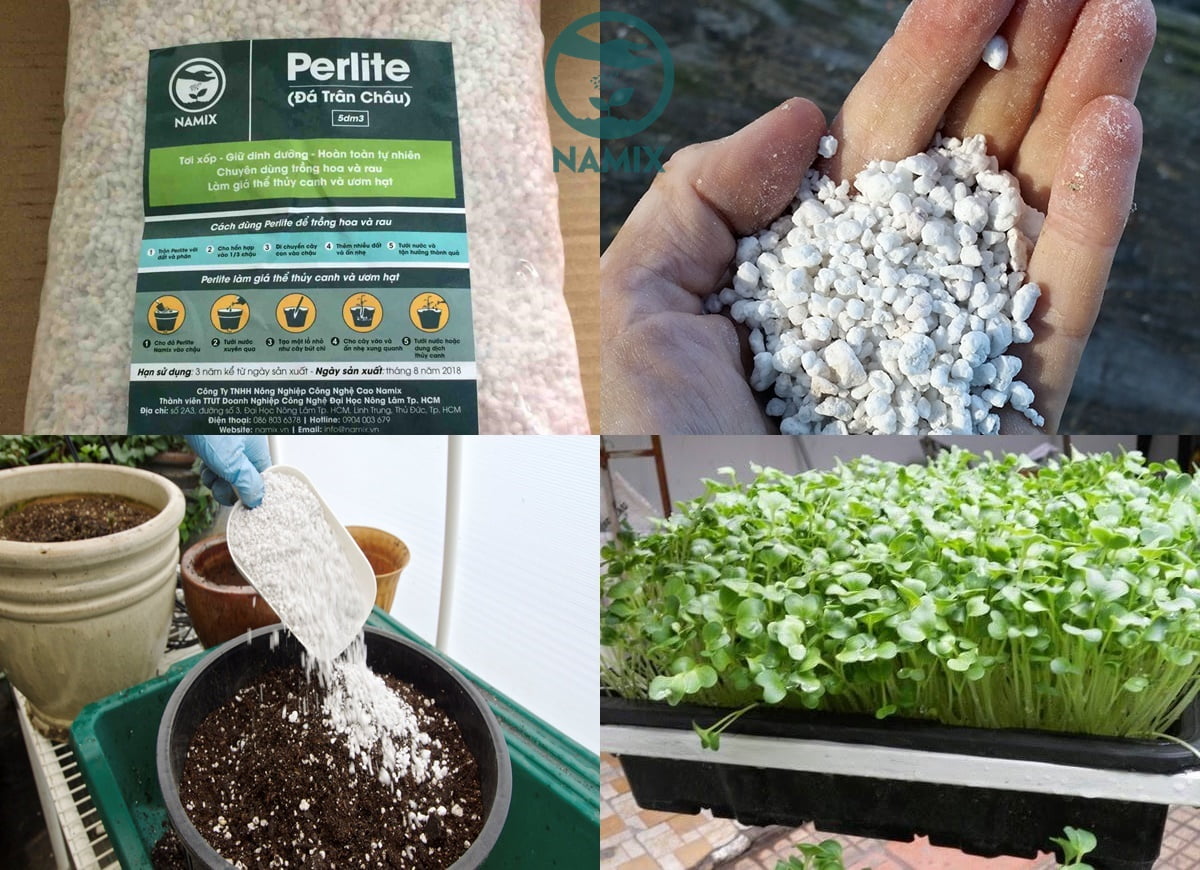 Giá thể đá Perlite Namix trồng rau mầm hiệu quả