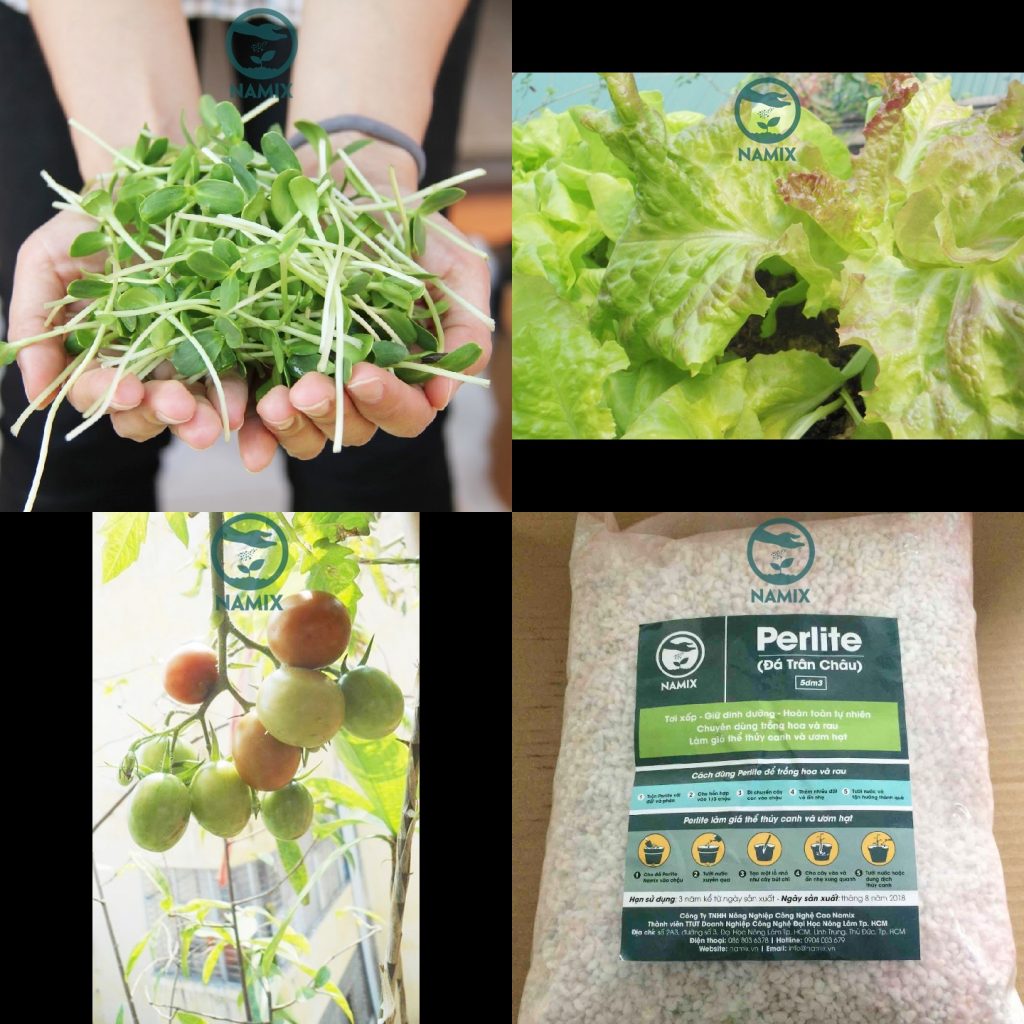 Đá Perltie - giá thể trồng rau sạch cực tốt cho cây