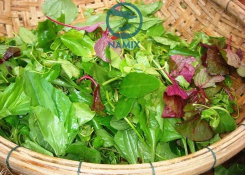 Đá Perlite trồng rau sạch tươi tốt