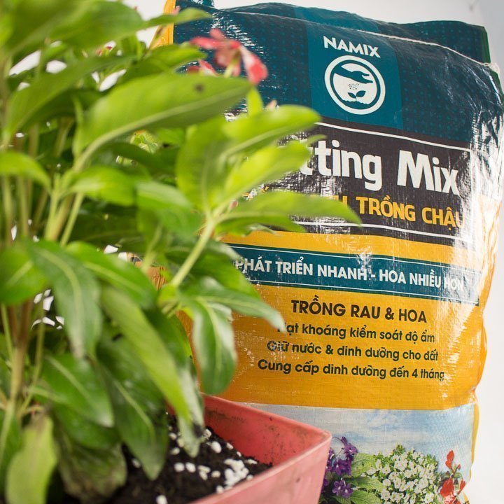 Đất sạch Namix trồng rau và hoa liệu có tốt thật không?