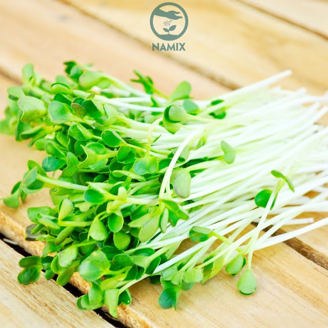 Giá thể đá Vermiculite - lựa chọn hoàn hảo cho việc trồng rau mầm sạch tại nhà