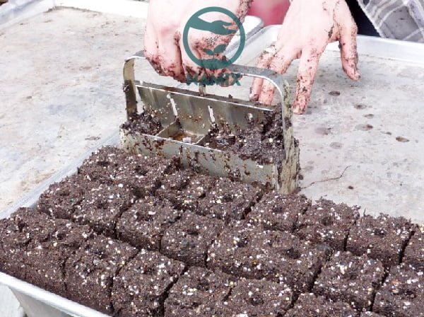 Mua đá Perlite trân châu Namix làm vườn hiệu quả nhất