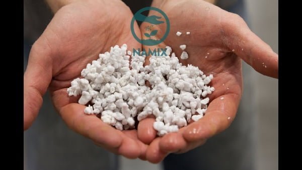 Bán đá Trân Châu Perlite làm vườn trồng cây hiệu quả