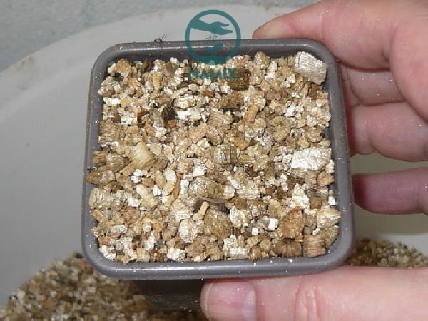 Đá Vermiculite có những công dụng hữu ích cho cây trồng