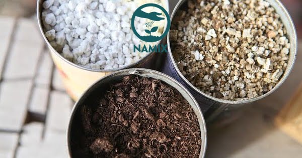 Sử dụng đá Vơ mi kết hợp cũng các giá thể khác để trồng cây hiệu quả