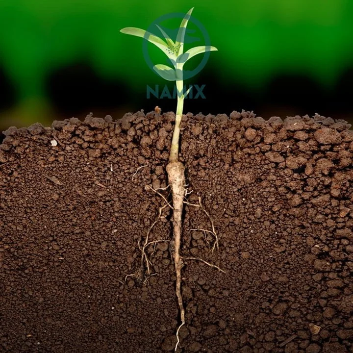 Vai trò của lân đối với cây trồng