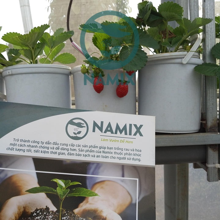 Giá thể thủy canh đá Perlite Namix