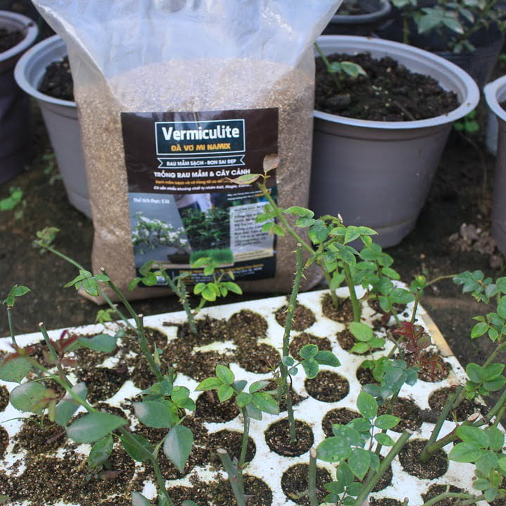 Giá thể ươm hạt, giâm cành Vermiculite hatienvenicevillas