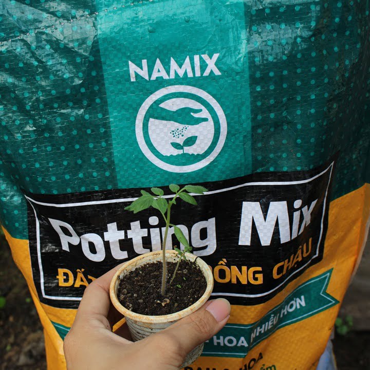 Đất sạch Namix trồng cây.