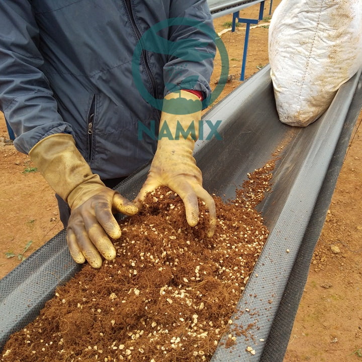 Kĩ thuật trồng dâu tây thủy canh trên hệ thống máng. Đá Trân châu Namix trồng dâu tây.