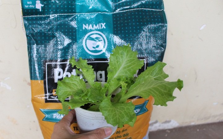 Đất sạch trồng rau Namix
