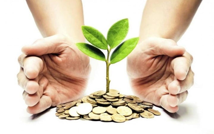 Những lưu ý khi mở cửa hàng vật tư nông nghiệp. Cung cấp đất sạch Namix