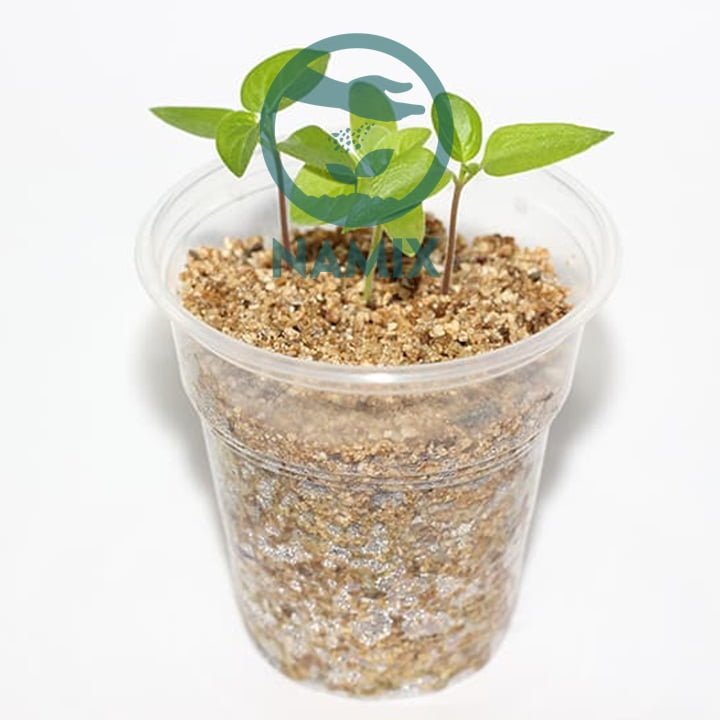 Đá Vermiculite ươm hạt. Đá Vermiculite Namix