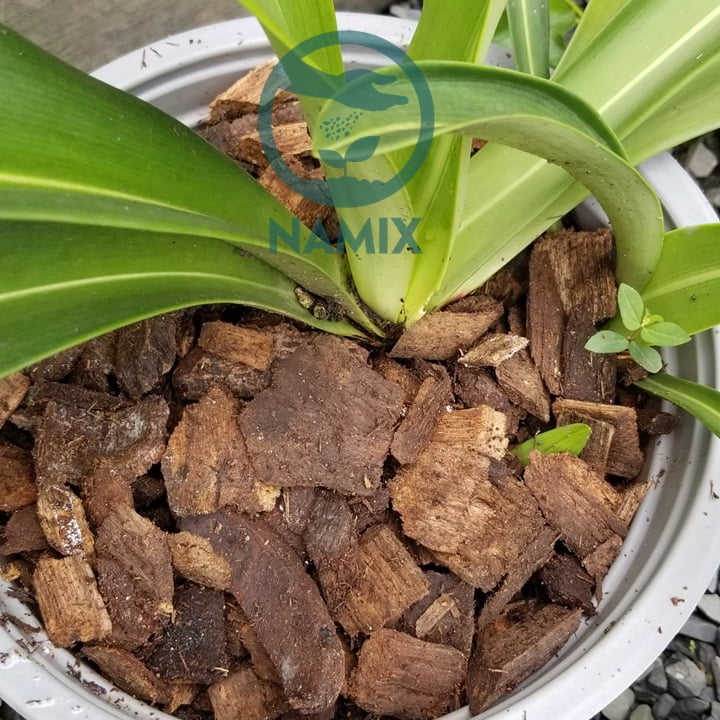 Cung cấp lớp phủ trồng cây. Lớp phủ Namix