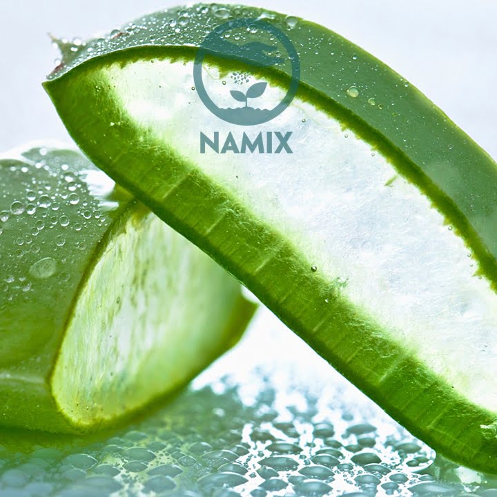 Trồng nha đam bằng giá thể trồng Namix