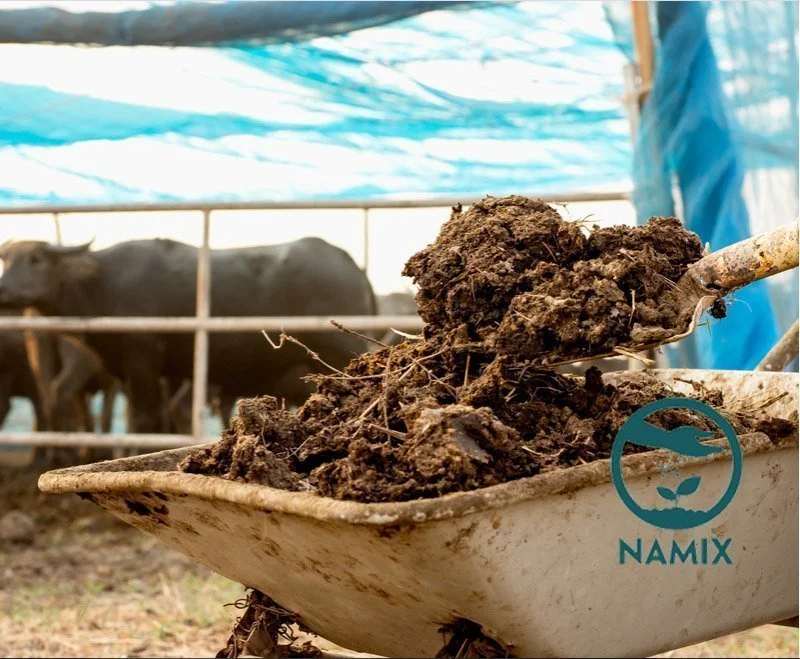 phân bò khô là gì