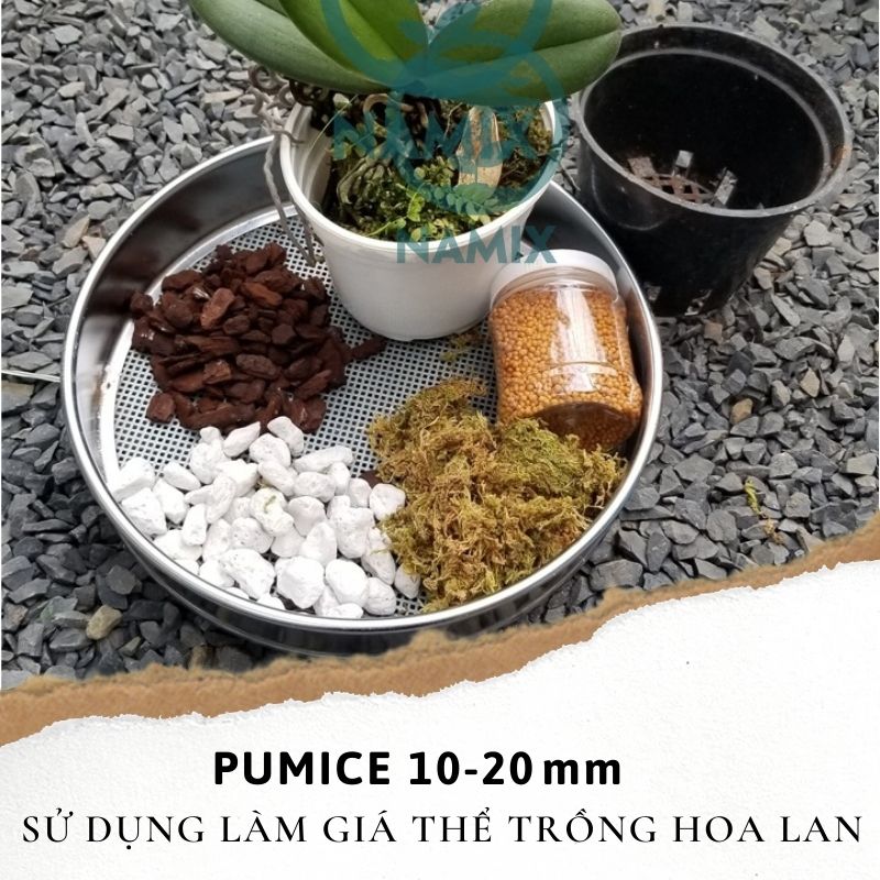 pumice 10-20mm Namix sử dụng làm giá thể trồng lan