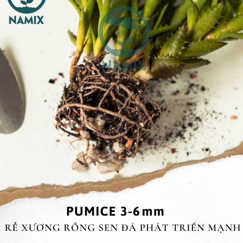 pumice 3-6mm indo namix giúp rễ phát triển tốt