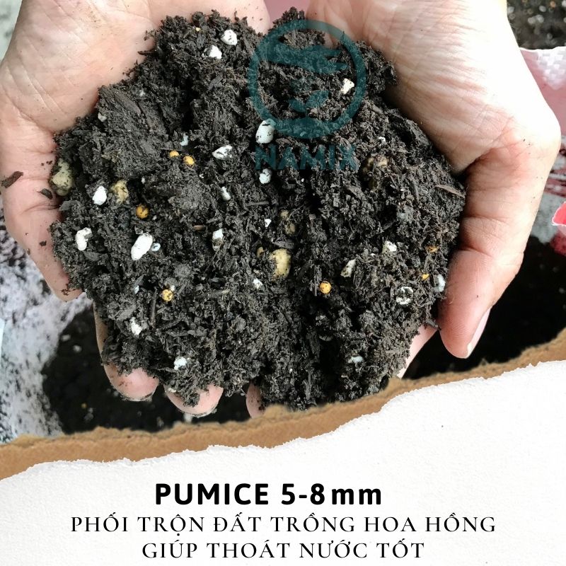pumice 5-8mm phối trộn đất trồng hoa hồng