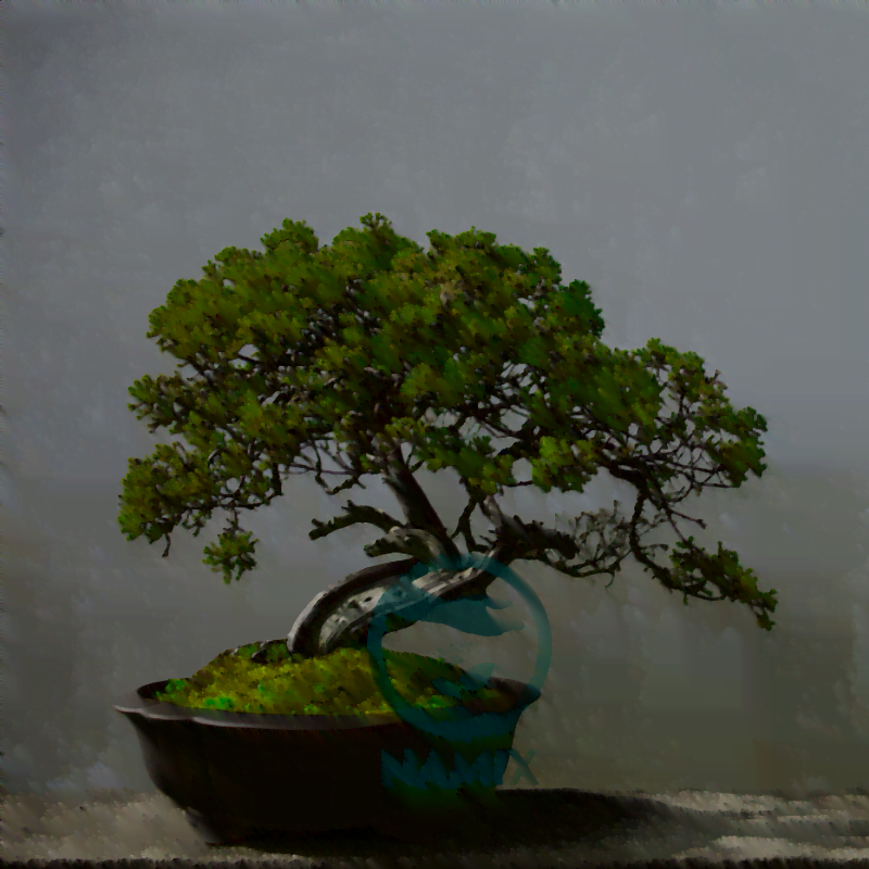 chọn đất trồng bonsai