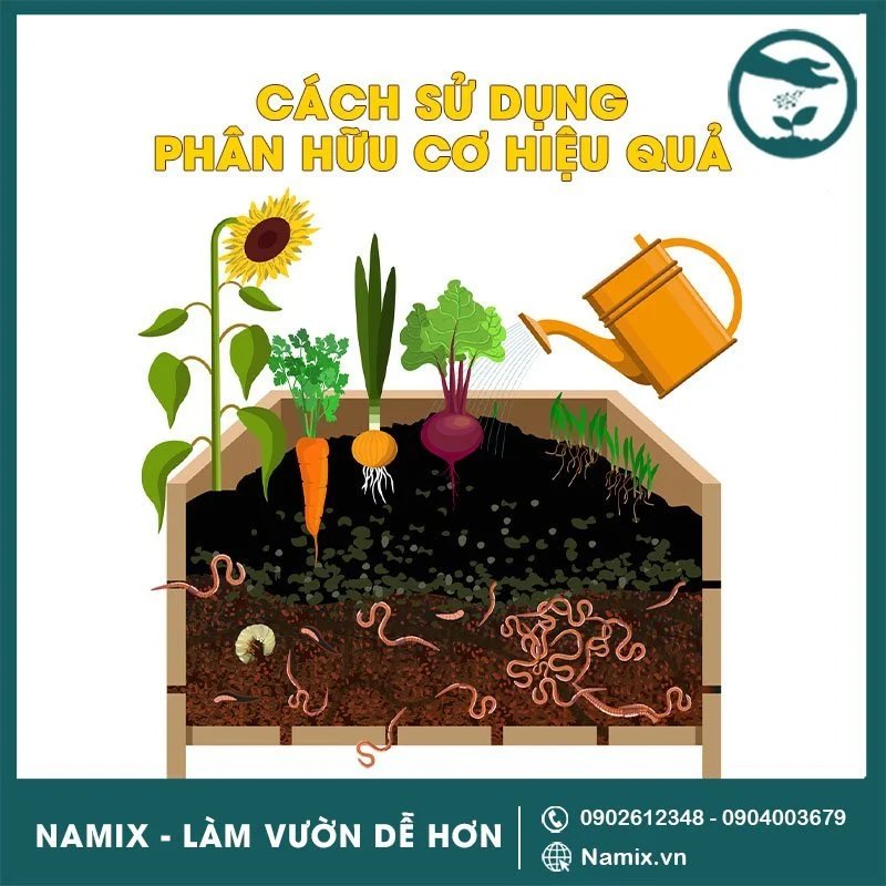 cách sử dụng phân hữu cơ hiệu quả