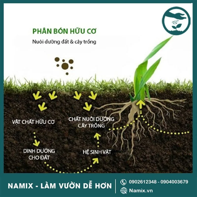 cơ chế tác động của phân hữu cơ
