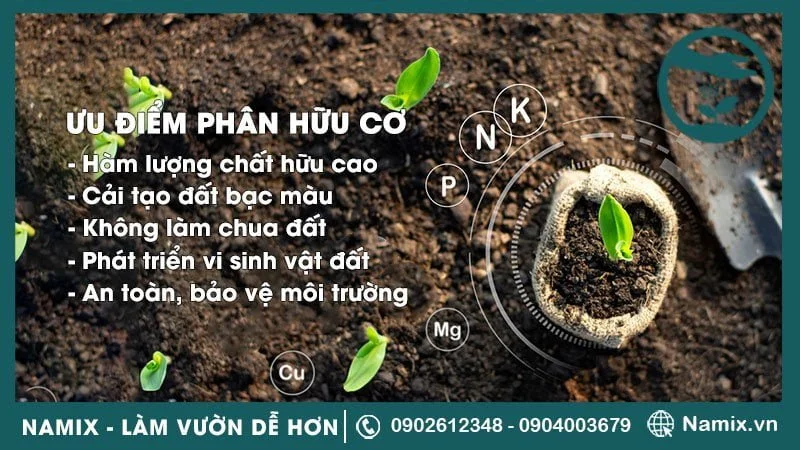 ưu điểm của phân hữu cơ