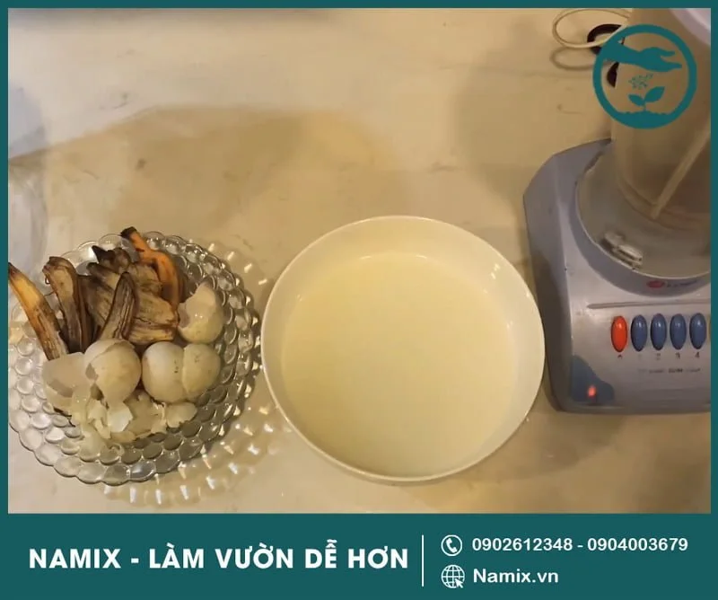 ủ nước vo gạo tưới cây