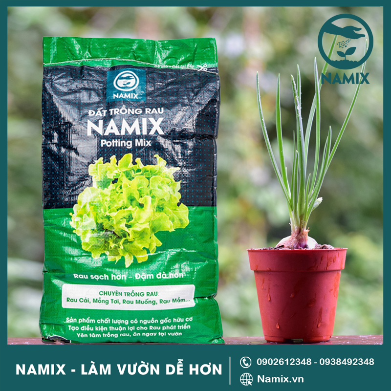 trồng hành lá trong đất trồng rau Namix
