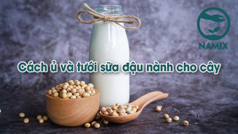 sữa đậu nành cho cây