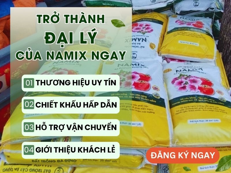 đăng ký đại lý