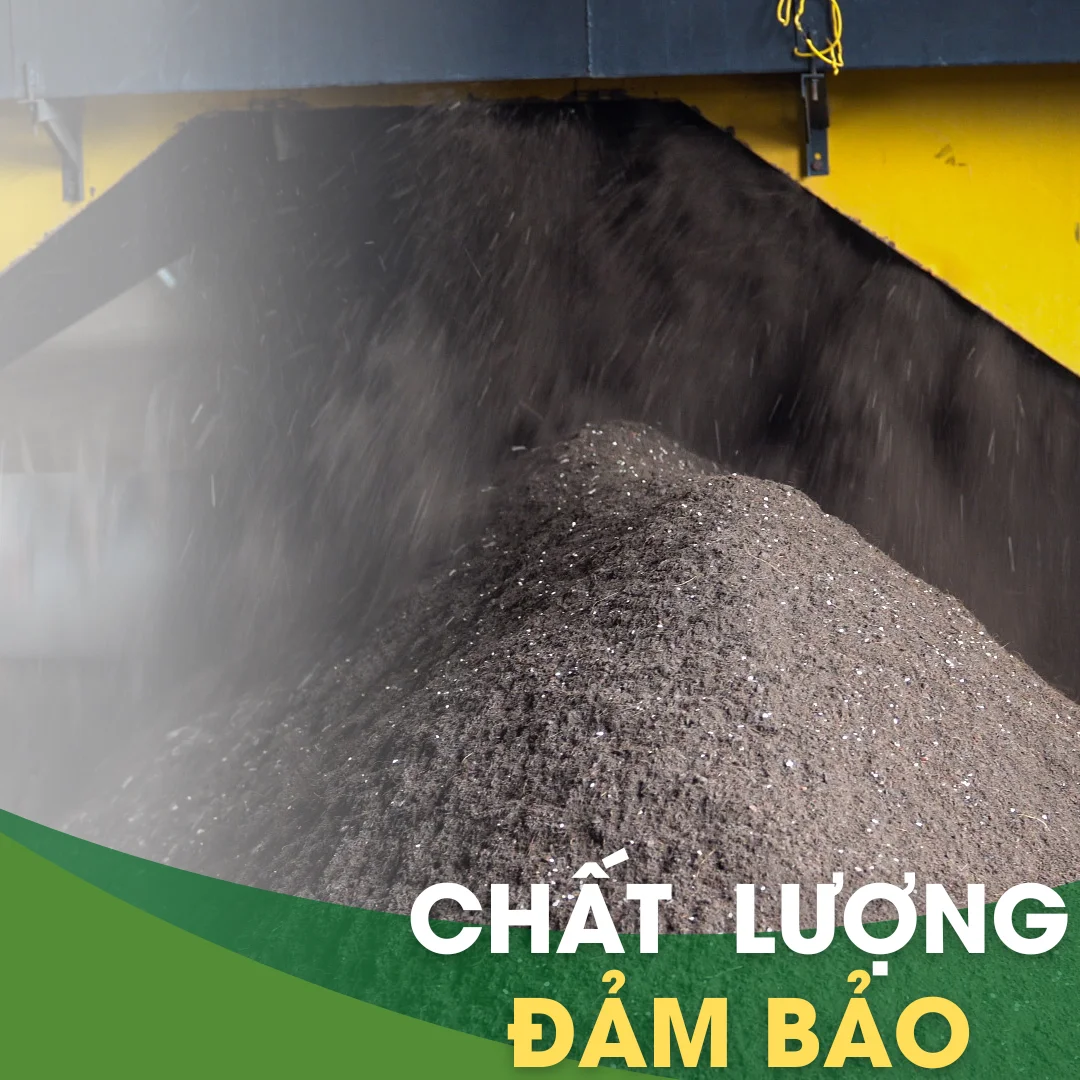chat luong dam bao