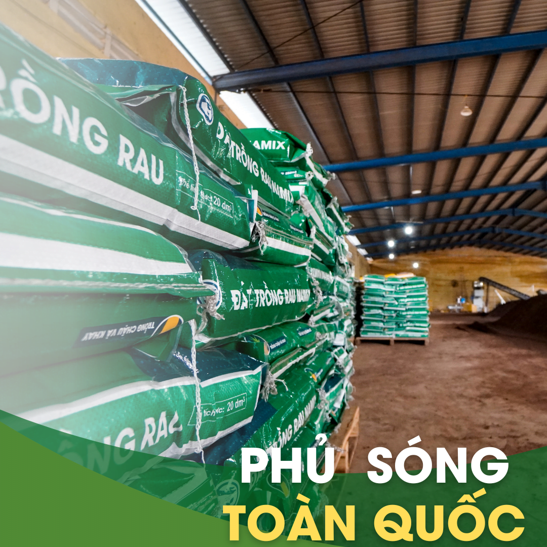 phu song toan quoc