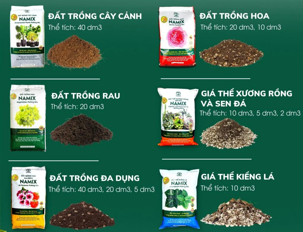 dat trong namix