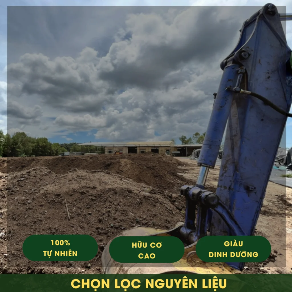 chon loc nguyen lieu