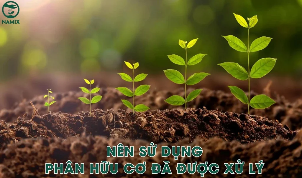 su dung phan da duoc xu ly