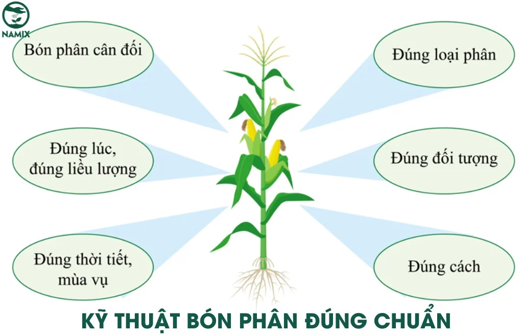 nguyen tac bon phan