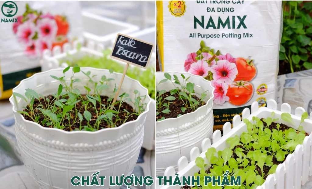 dam bao chat luong thanh pham
