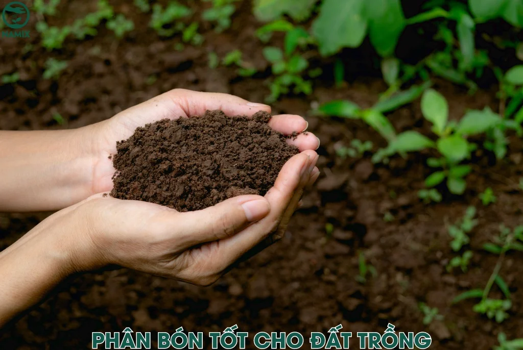 phan bon co tac dung gi voi dat trong
