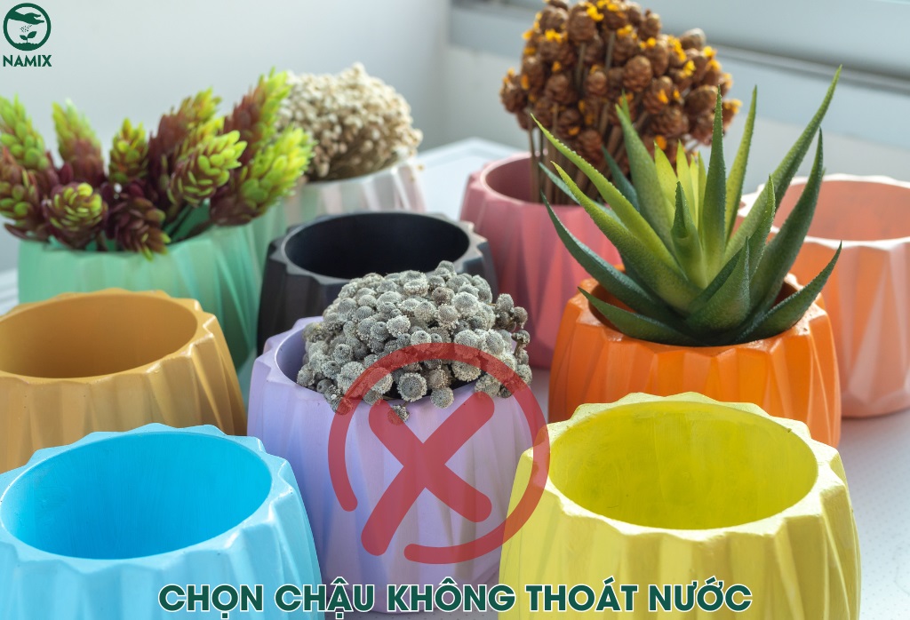 chau khong thoat nuoc